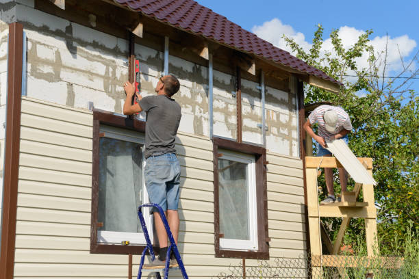 Best Fascia and Soffit Installation  in Minden, NV