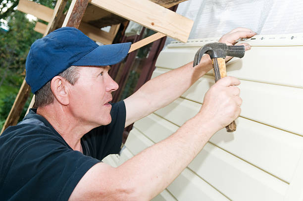  Minden, NV Siding Pros