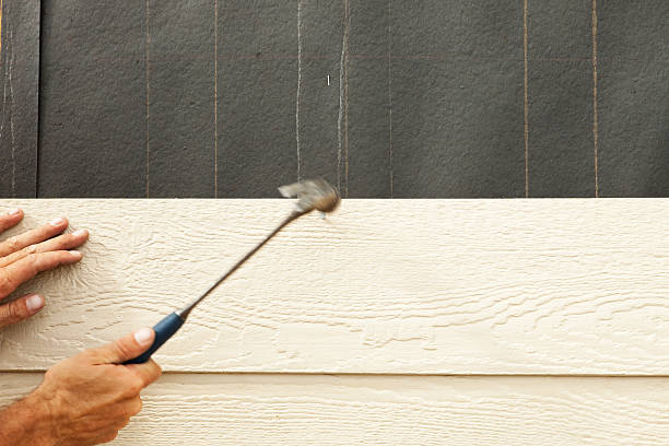 Best Stucco Siding  in Minden, NV